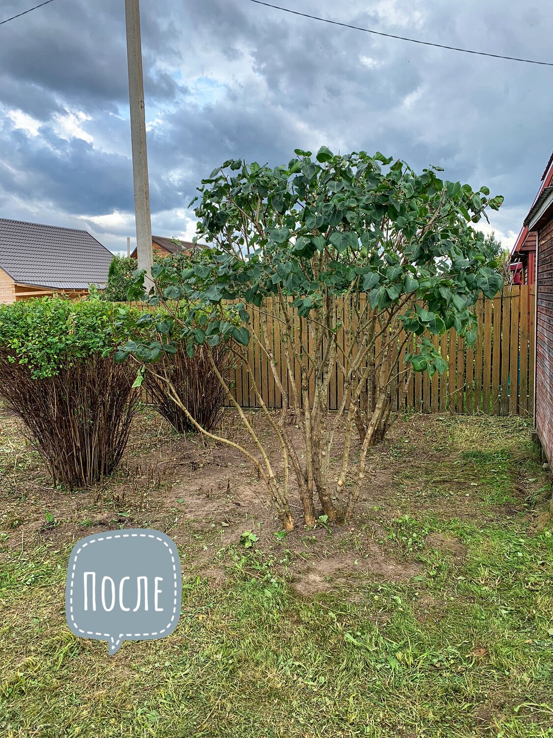 участок, дача, дом в селе, дачные участки, дачный участок с домом