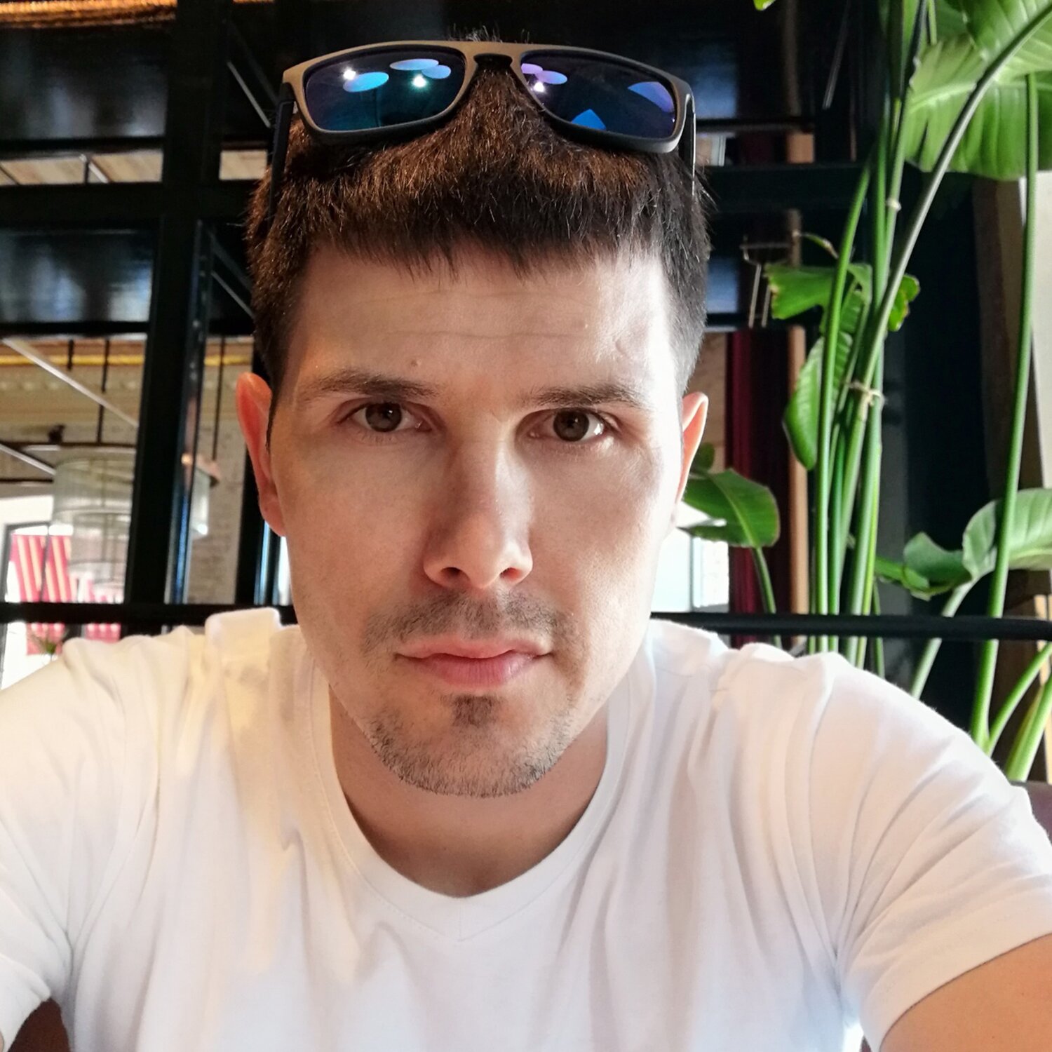 Антон М.