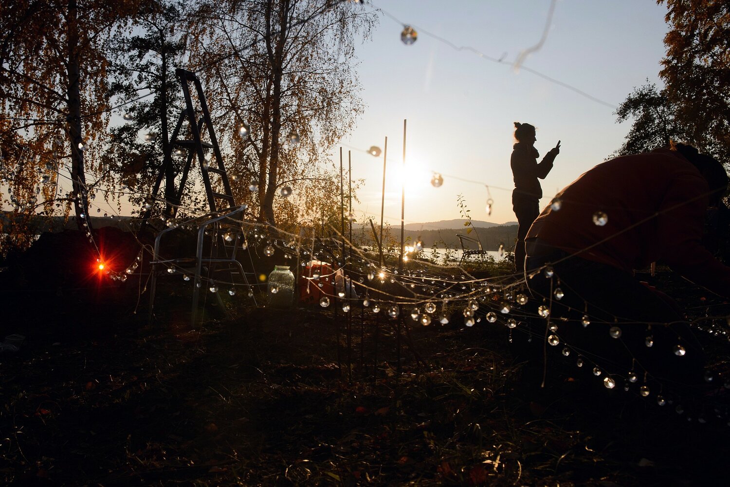 темнота, природа, в парке, парк, городской парк