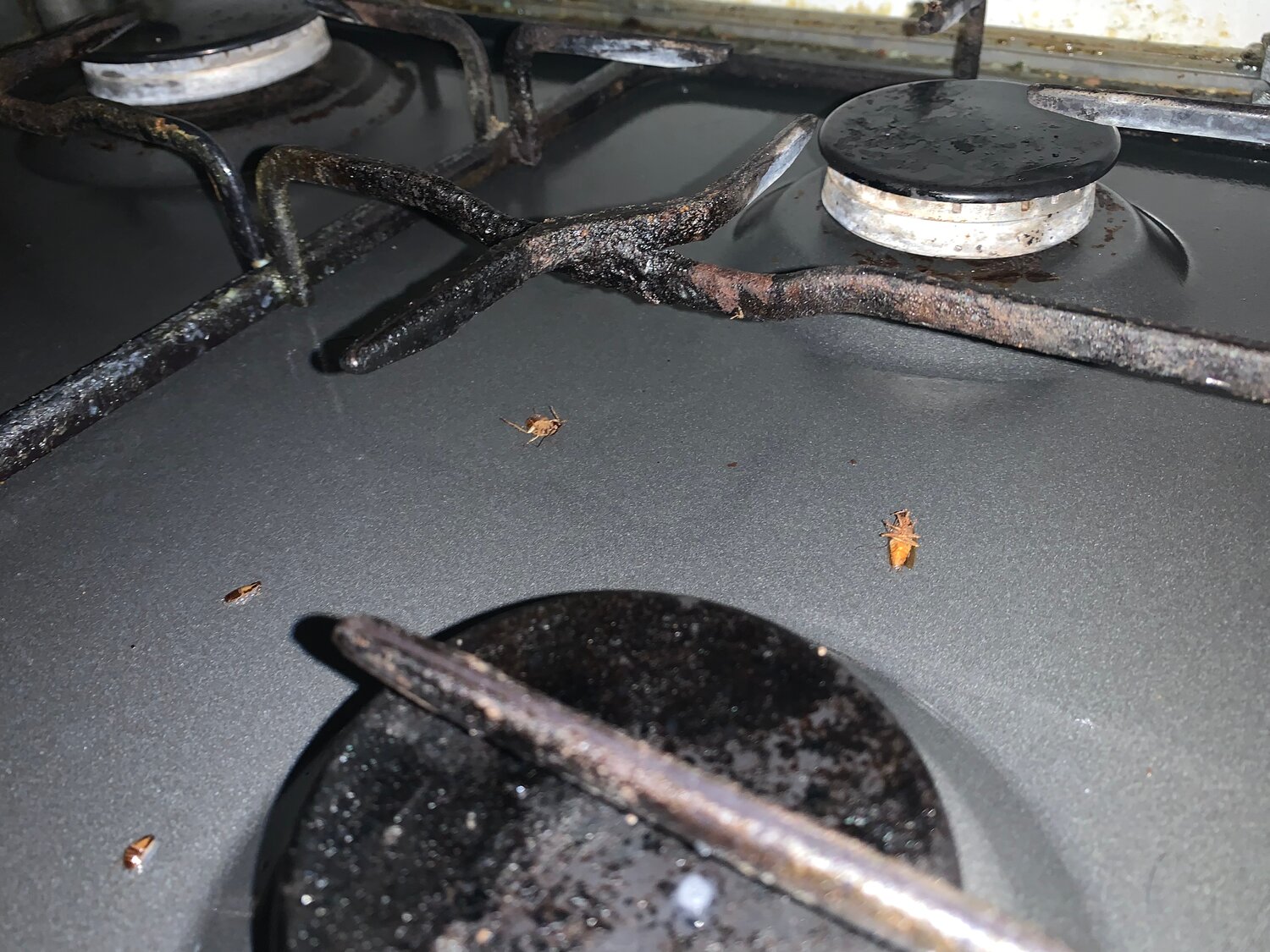 газовая плита, грязная плита, грязная газовая плита, плита, грязная решетка газовой плиты