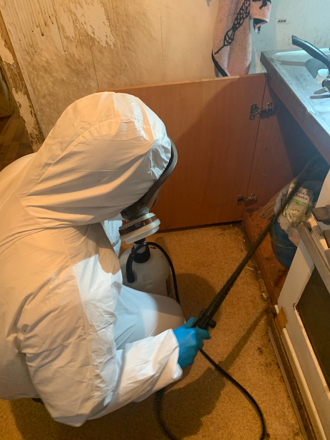 дезинфекция, дезинсекция, дезинфекция дезинсекция дератизация, уничтожение клопов, дезинфекция клопов павловский посад