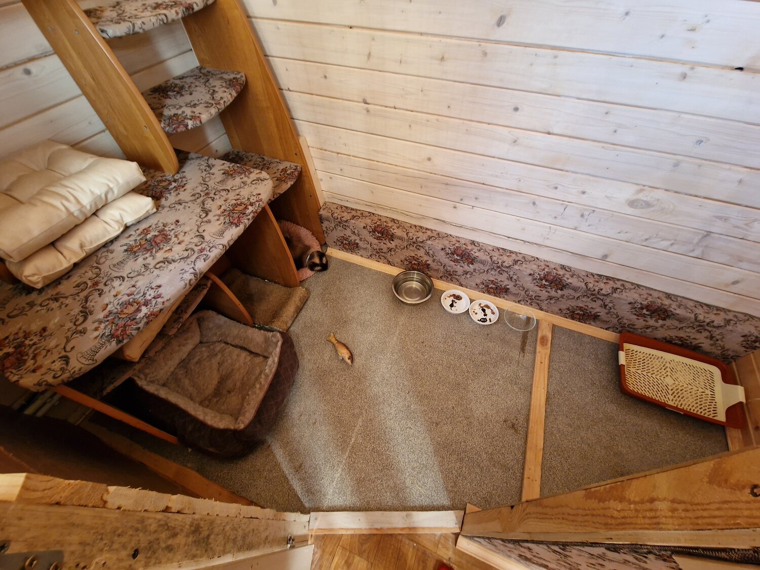 в доме, летний домик, дом домик, деревянный домик, загородный дом