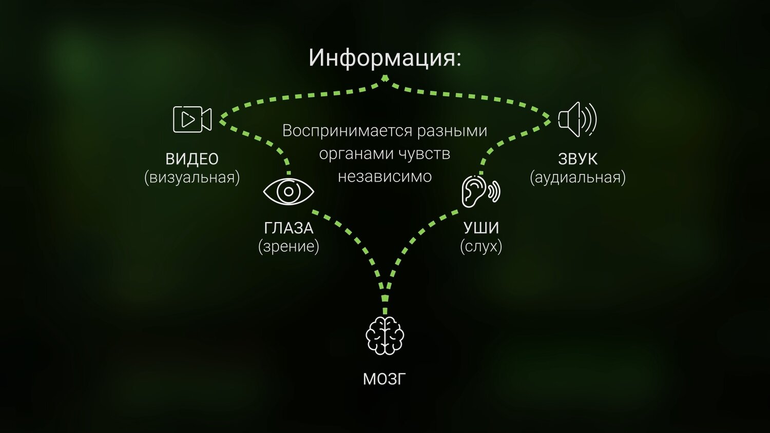 когнитивная психология, мышление, системы, мыслительный процесс, когнитивные искажения