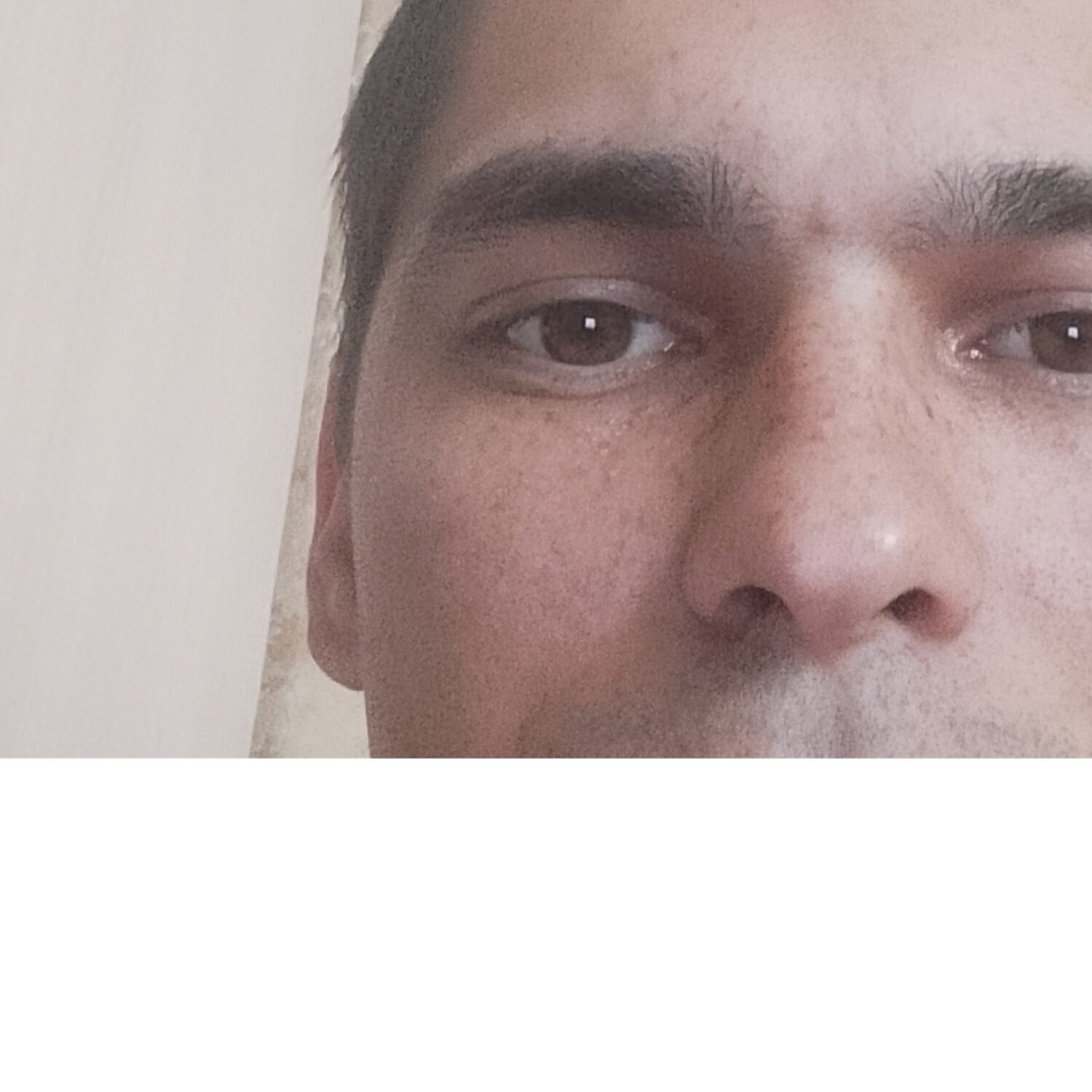 Роман Анисимов