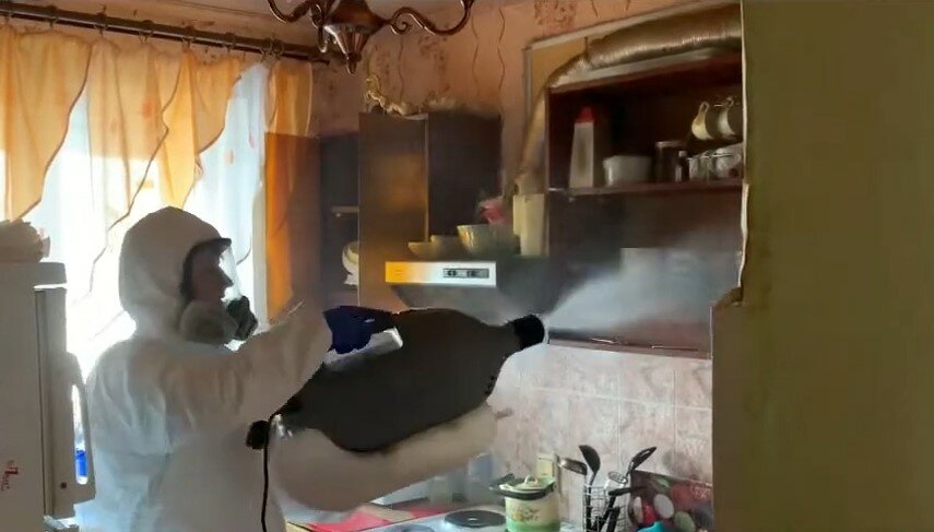 дезинсекция, дезинфекция дезинсекция дератизация, дезинсекция и дератизация, дезинсектор холодный туман, дезинфекция от клопов