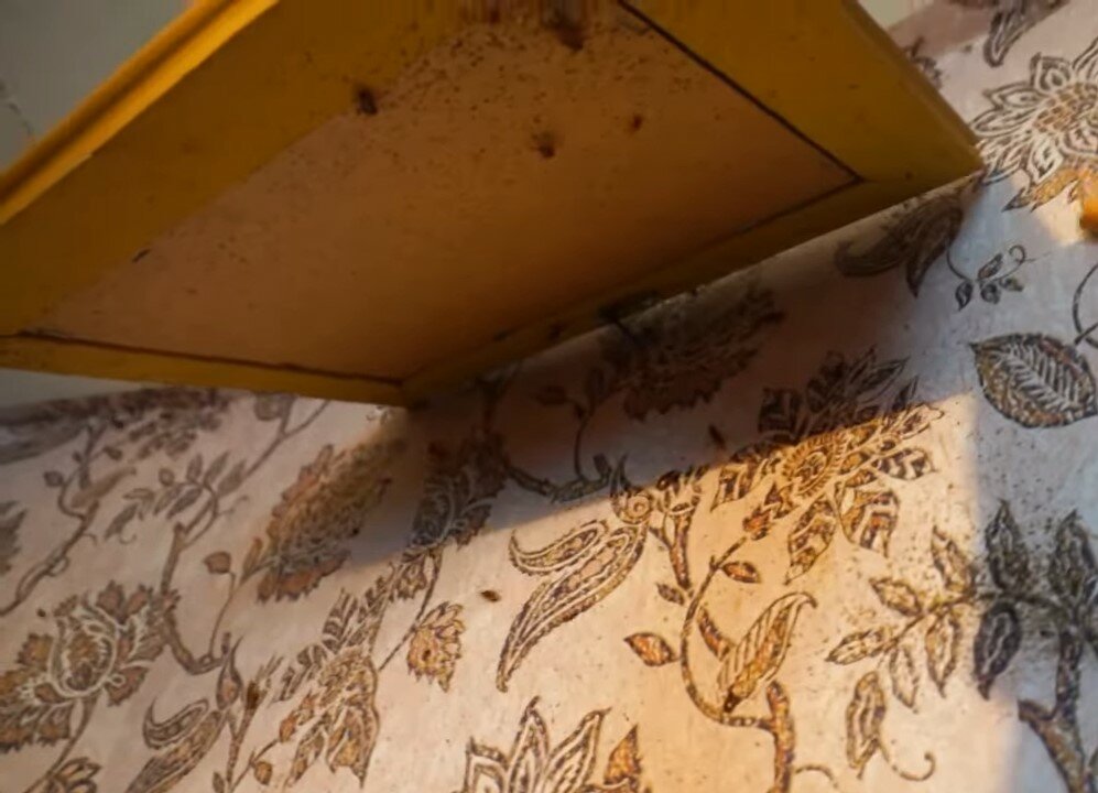 антресоль на шкаф, интерьер, антресоль в коридоре, в стенах, тараканы в квартире