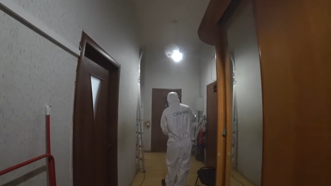 дезинсекция, дезинфекция, дезинфекция дезинсекция дератизация, дезинфекция помещений, дезинфекция и дезинсекция