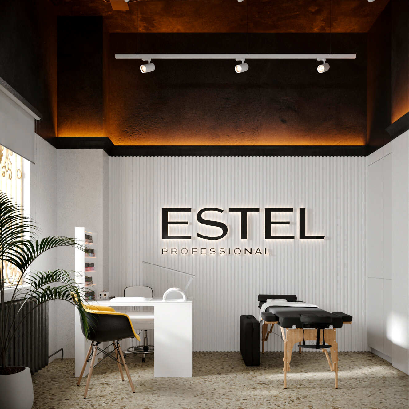 растения, пальма минимализм, финиковая пальма, better, mistake