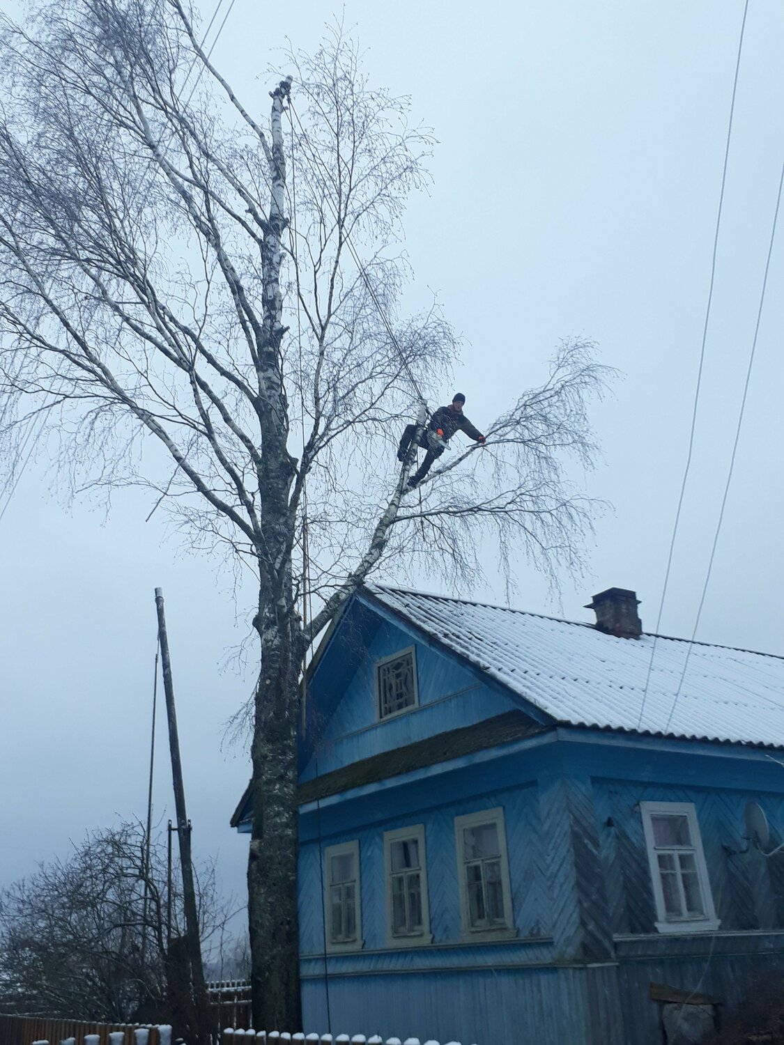 зависшее дерево, мебель, спиленное дерево, спил дерева, спилить дерево по частям
