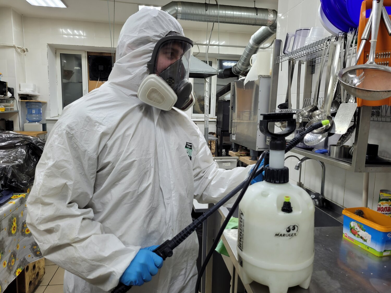 дезинфекции, заключительная дезинфекция, дезинфекция дезинсекция дератизация, дезинфекция профилактическая, байтекс дезинсекция