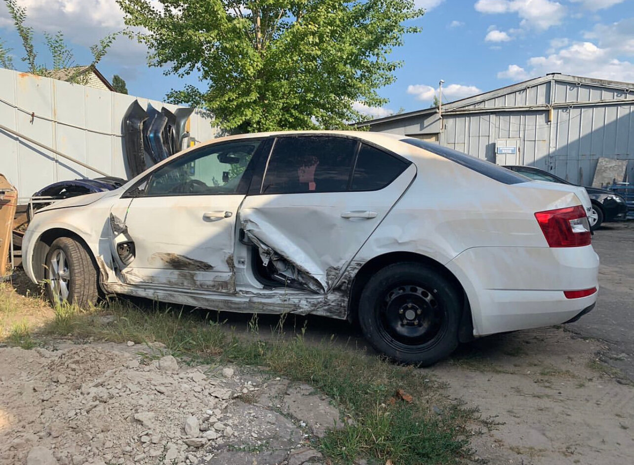 škoda octavia, octavia, шкода октавия а 7, skoda octavia a 7, skoda octavia 2014