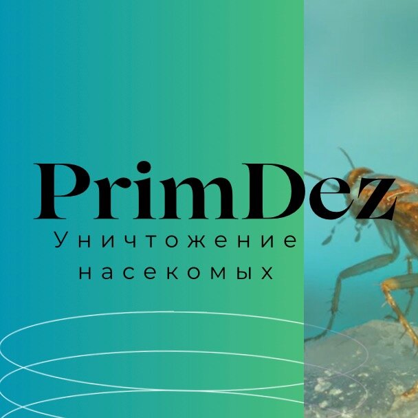 PrimDez | Примдез | дезинсекция
