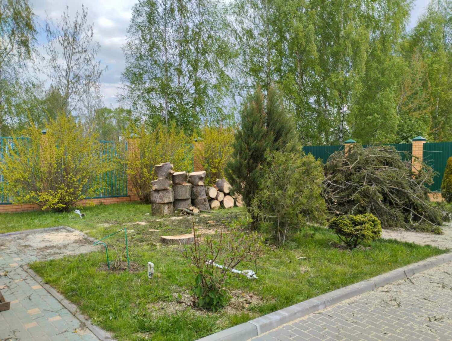 сад, сад парк, сад мгу, парк, сочинский дендрарий