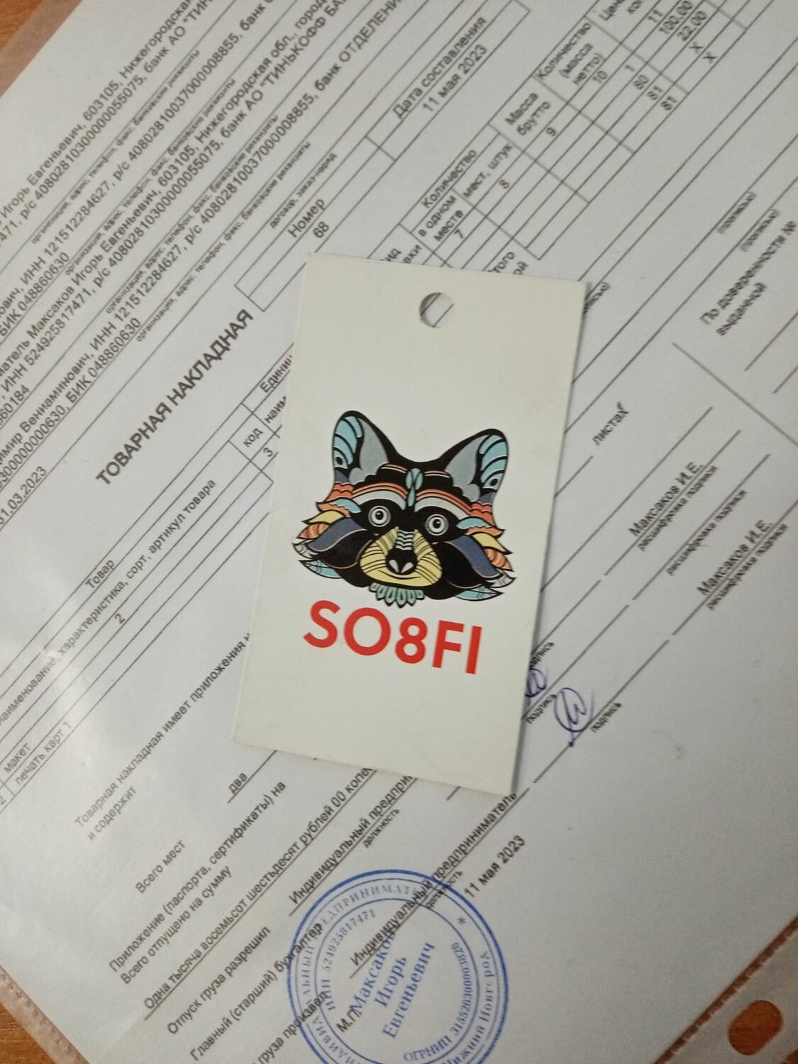 нашивки, значок енот, енот арт, енотик, енот мордочка на гравюре