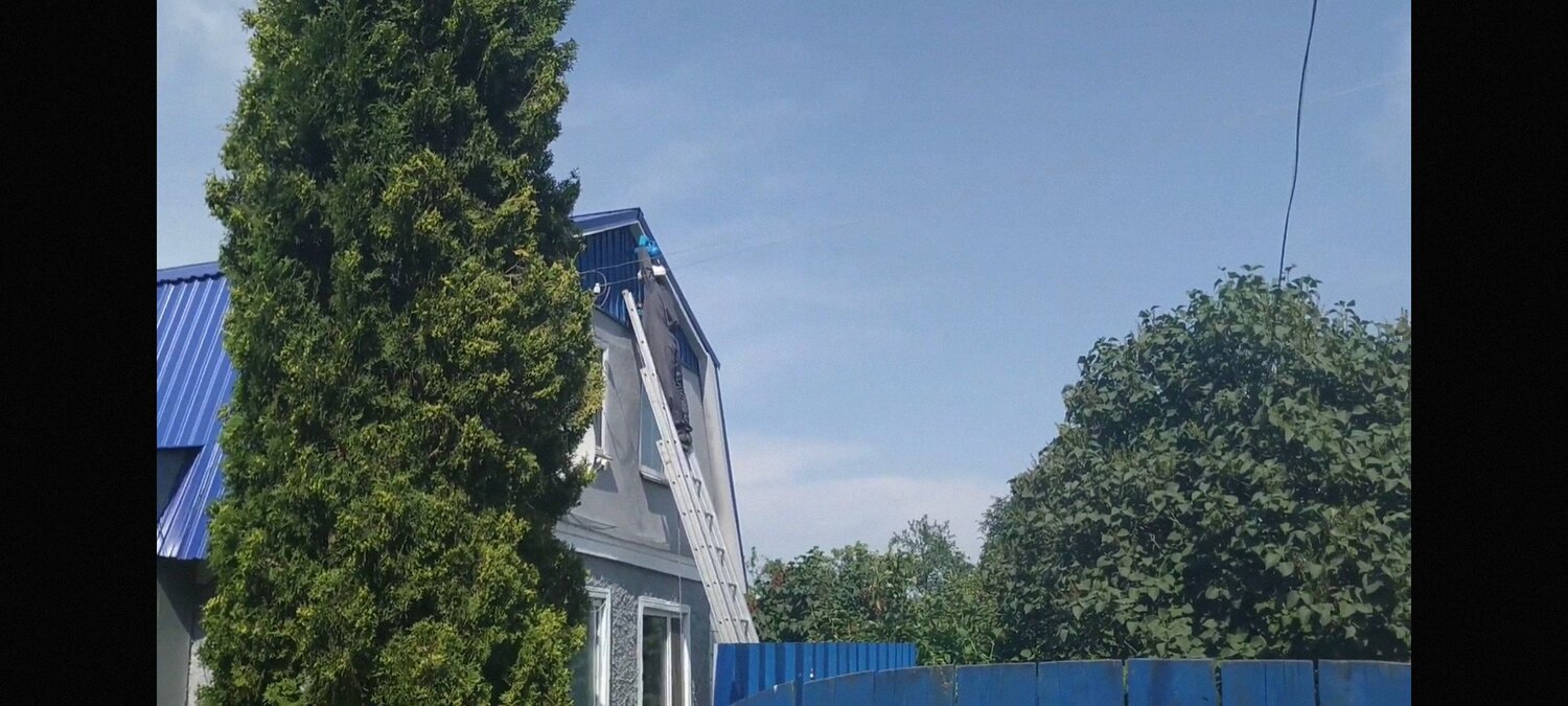 туя западная смарагд, туя западная смарагд экстра, туя смарагд, туя западная, туя