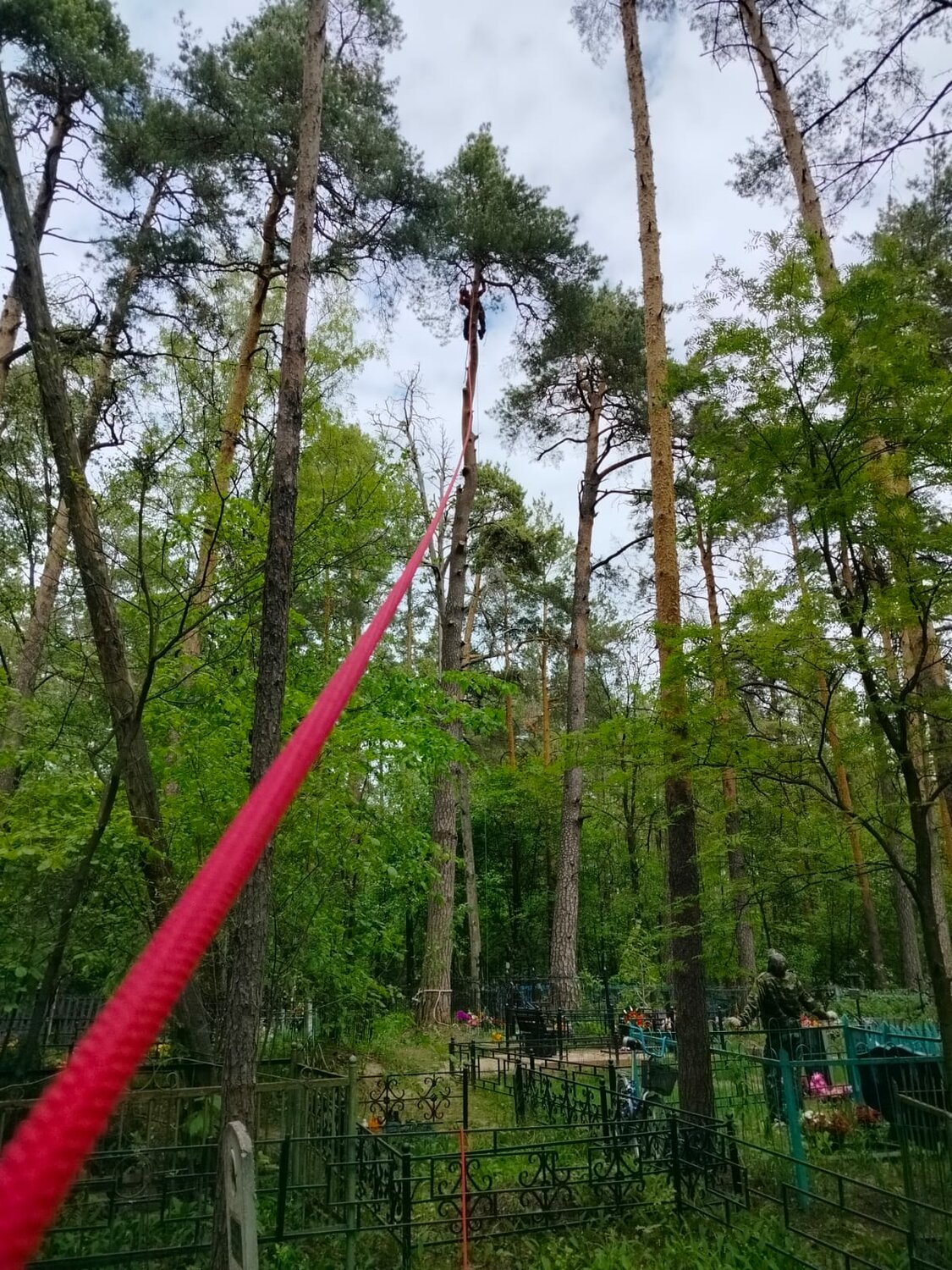 мебель, веревочный парк казань парк горького, охта парк веревочный парк, дерево, сосна бульвар