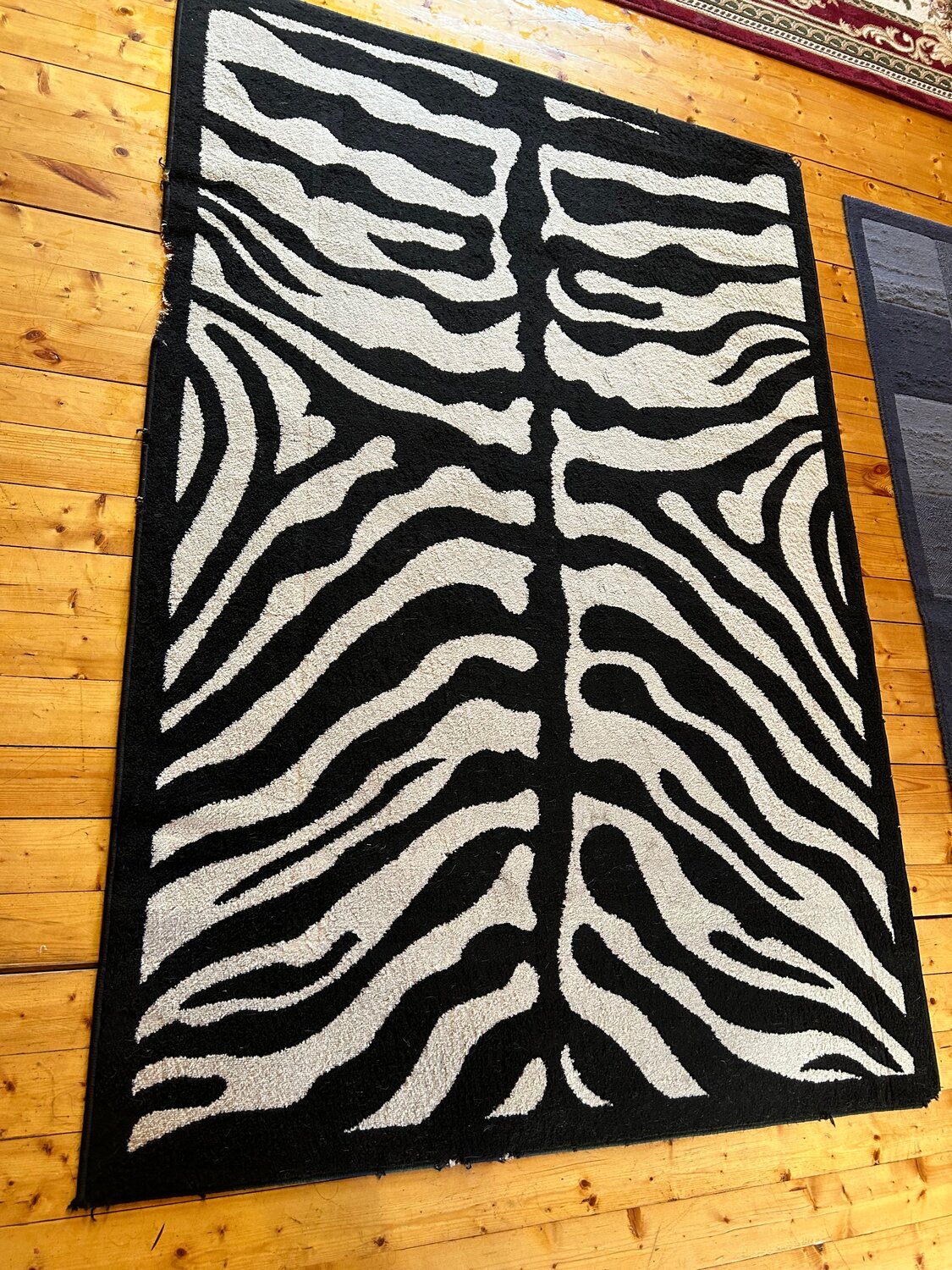 ковер fiesta 1.6 2.3 зебра, ковер зебра фиеста, ковёр fiesta 97611_41 2х3 м, ковер зебра, ковер fiesta 97611_41 1.6х2.3 м
