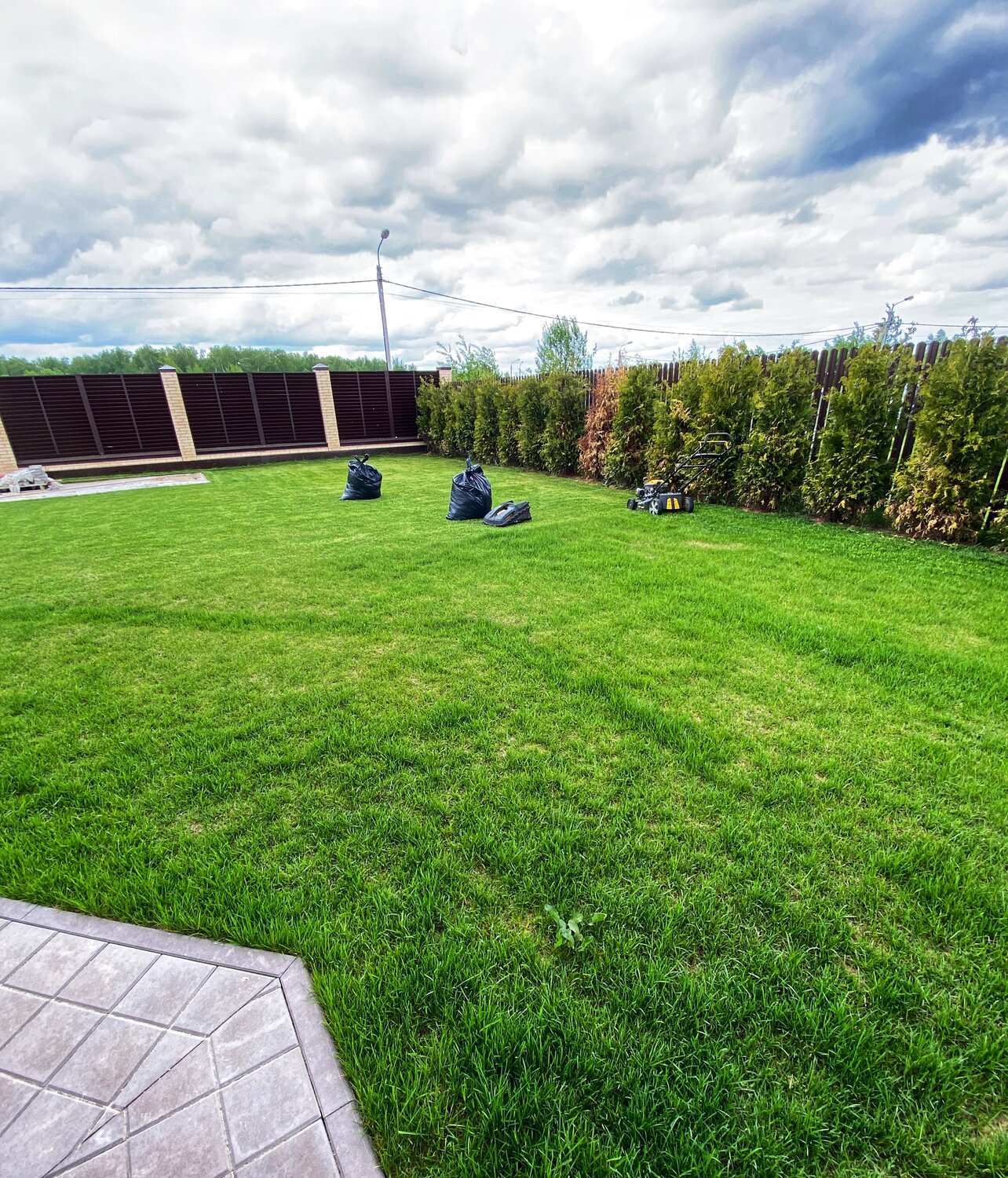 газон, красивый газон, искусственный газон, дизайн газона, полив газона