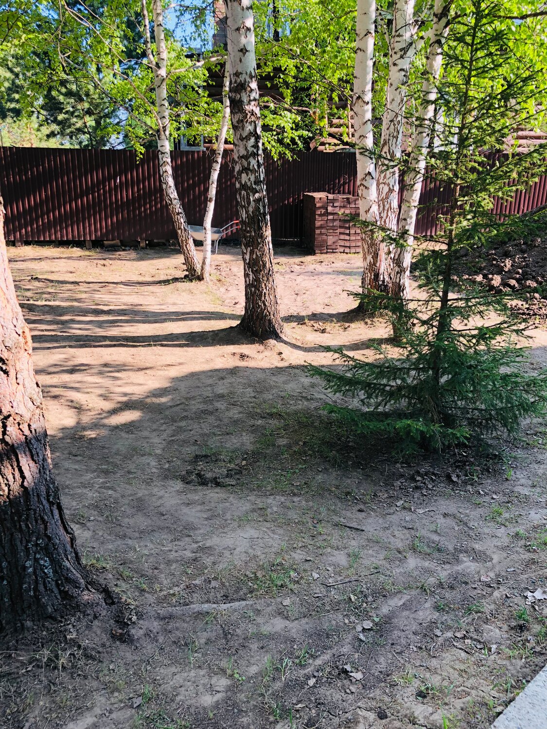 участок, лес на участке, лесной участок, загородный коттедж, дача