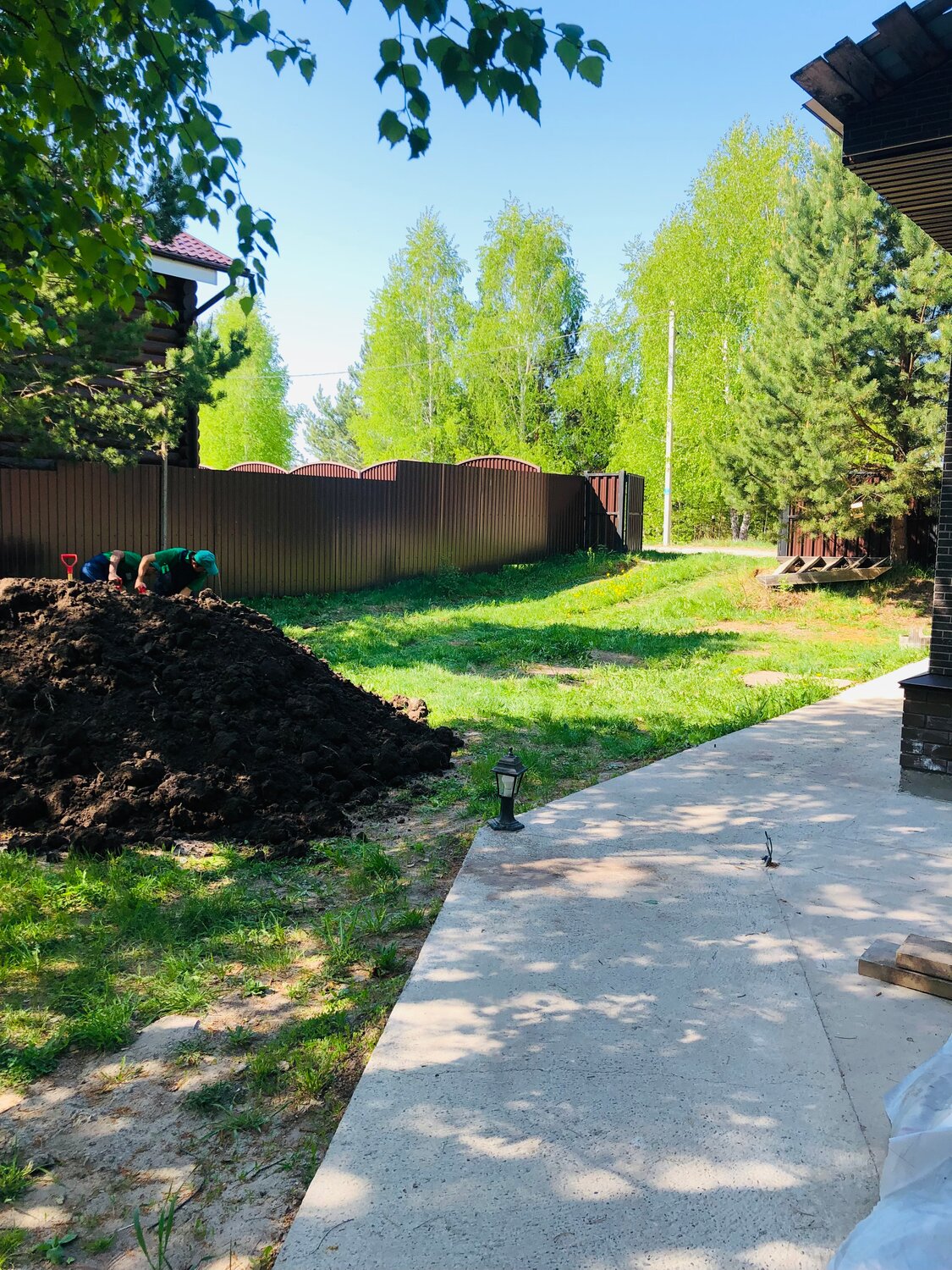 участок, ландшафтный дизайн, благоустройство загородного участка, газон на участке, дачный участок