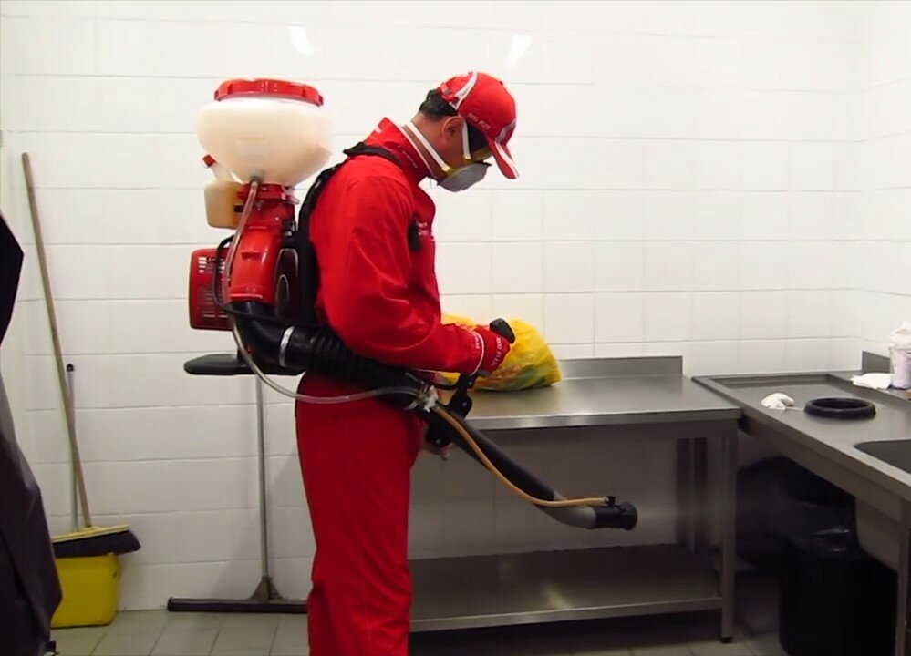 дезинсекция, дезинфекция помещений, дезинфекция дезинсекция дератизация, дератизация и дезинсекция, дезинфекция и дезинсекция