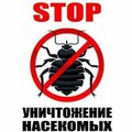 StopКлоп