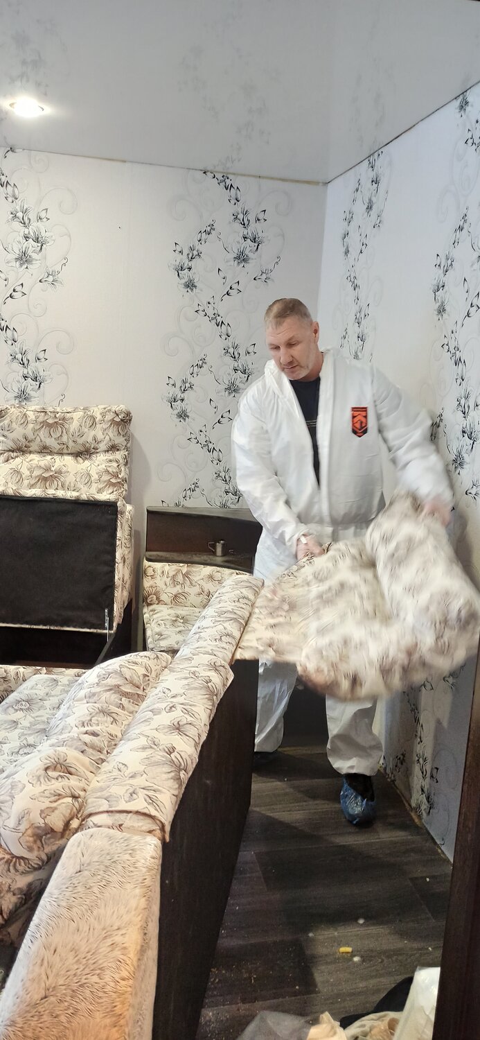 комната, человек, стрижка овец, стриженная овца, стрижка шерсти овец