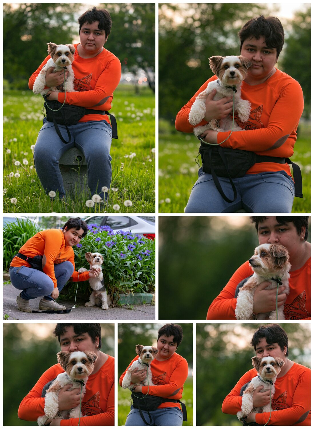 собака, домашние животные, собака животное, животные, бездомные животные