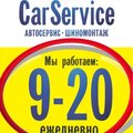CarService