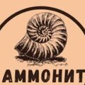 Аммонит