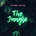 The_Jungle
