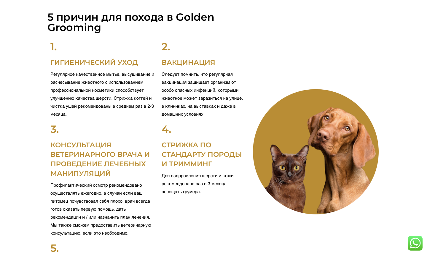 выжла собака, венгерская выжла, выжла, домашние питомцы, домашние животные