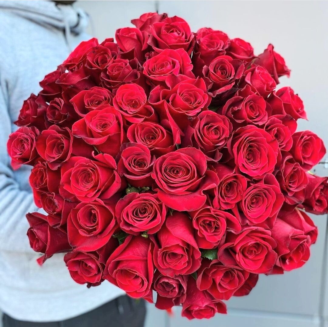 красные розы, алые розы, розы крупные, цветы розы, красные розы букет