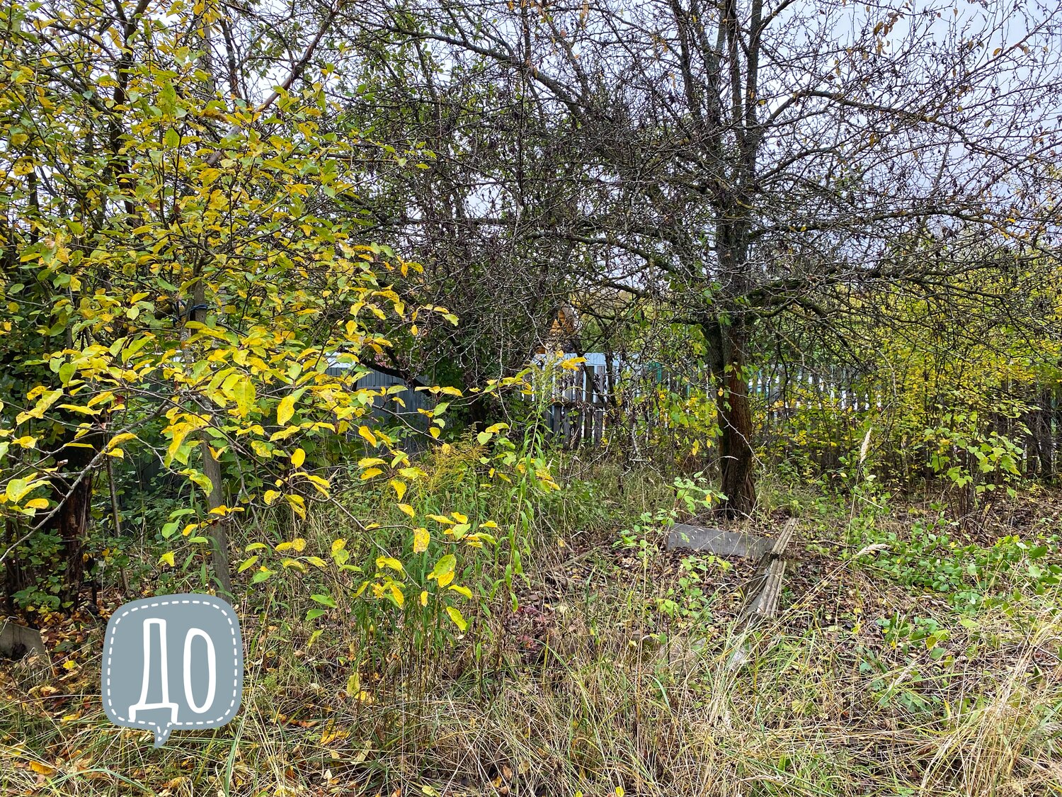 природа, участок, дача, дачные участки, садовый участок