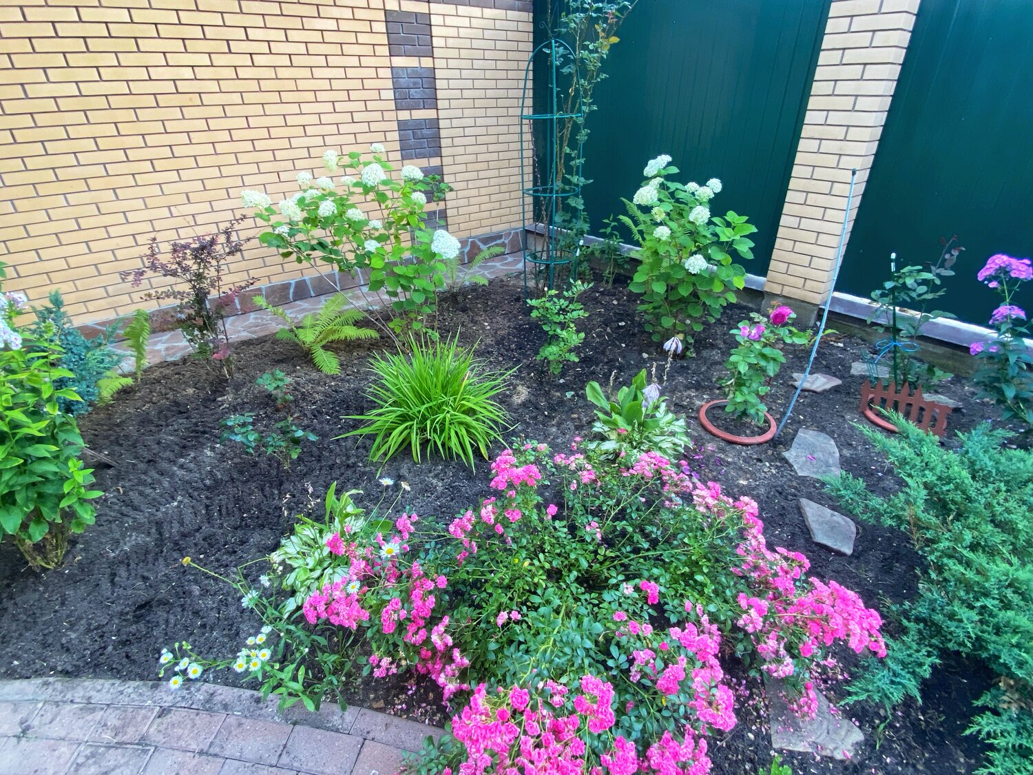 цветник в саду, растение, ландшафтный дизайн цветника, розы на участке, красивые цветники