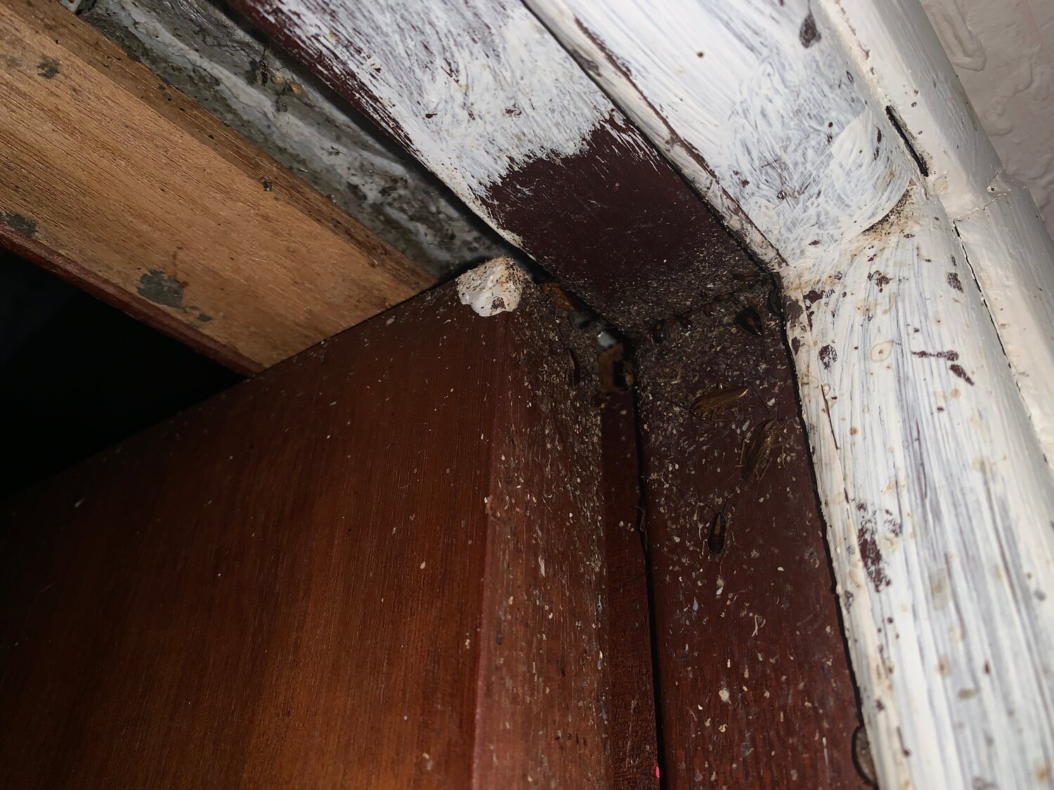 дверной проем, мебель, дверь, дверная коробка, порог двери