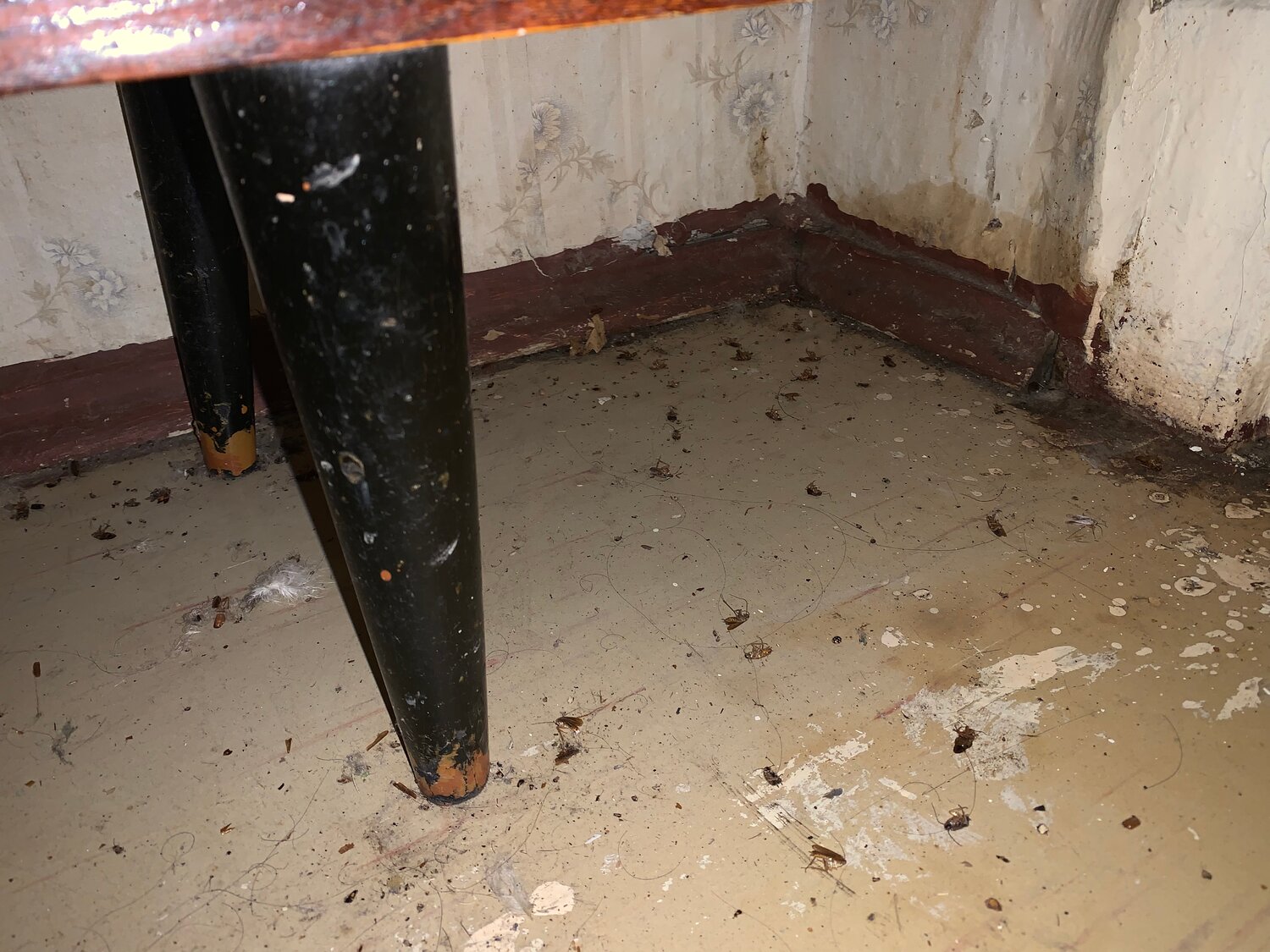 подвал, подвал после затопления, затопленные помещения, подтопление подвала, дом затоплен