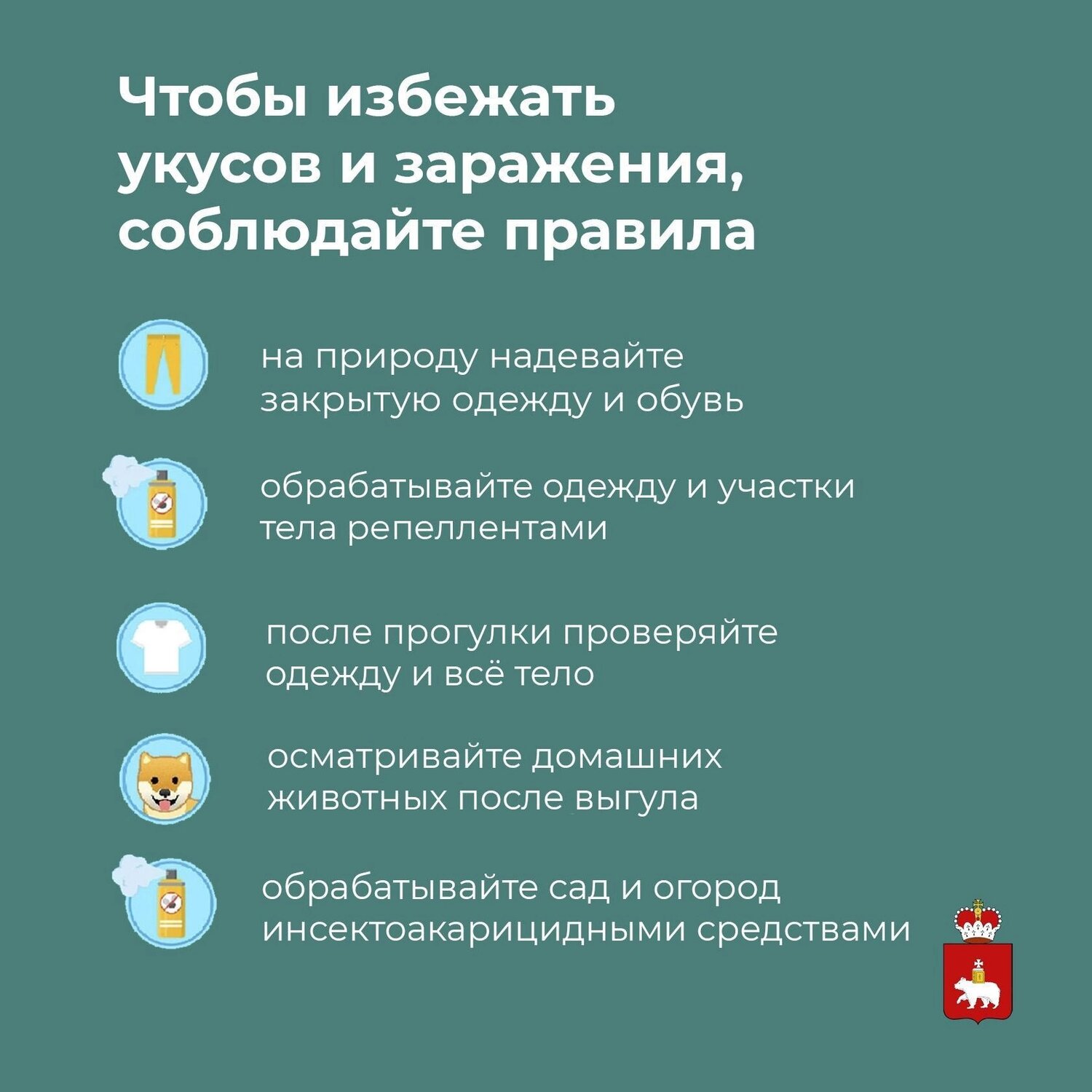 при укусе клеща, помощь при укусе клеща, укус клеща, памятка клещи, защита от клещей