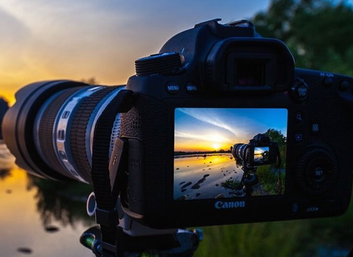 камера canon, фотоаппарат в лесу, canon, фотоаппарат, фотоаппарат на природе
