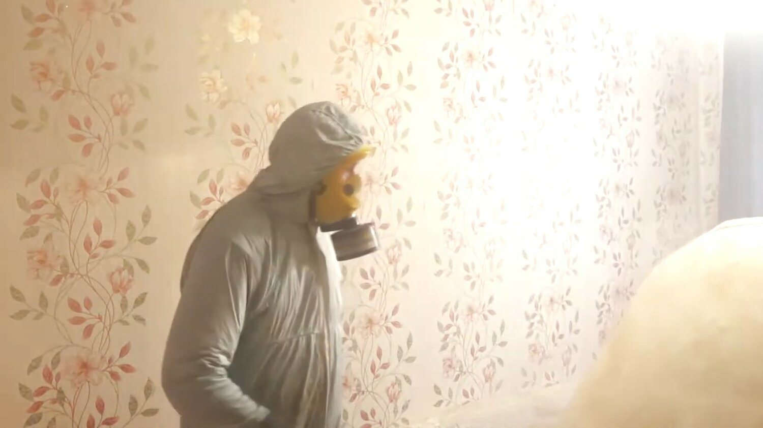 дезинсекция, дезинфекция от клопов, уничтожение клопов, дезинфекция помещений, дезинсекция и дератизация