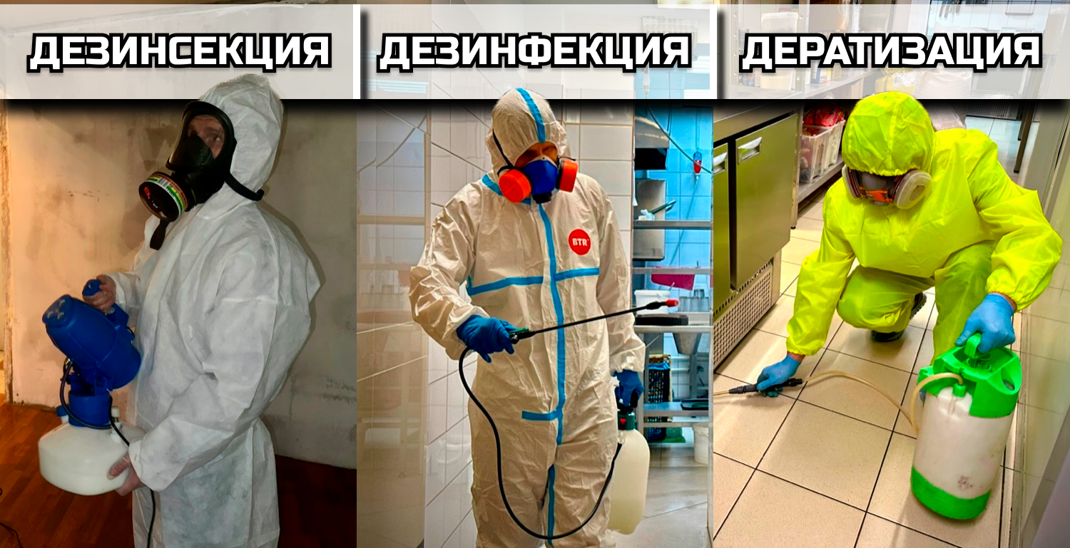 дезинфекции, дезинфекция дезинсекция дератизация, дезинфекция и дезинсекция, дезинсекция, дезинфекция помещений