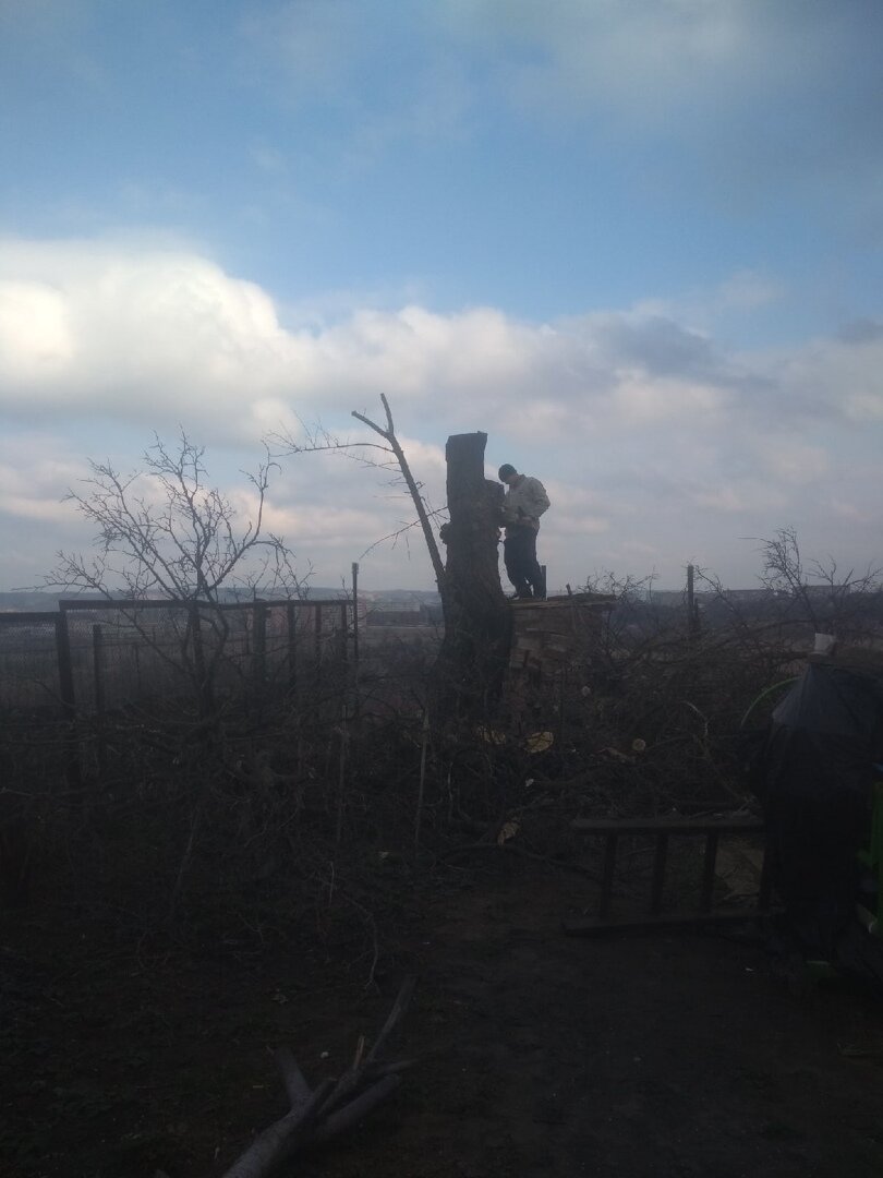 в деревне, участок дачный, участок, домик на участке, земельный участок