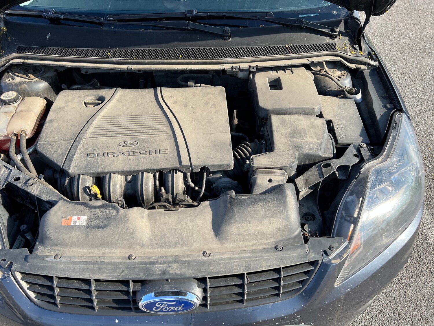 ford focus, моторный отсек форд фокус 2 2.0, под капотом форд фокус 2 2.0 145 л.с, форд фокус 2007 под капотом, ford focus 2 2008