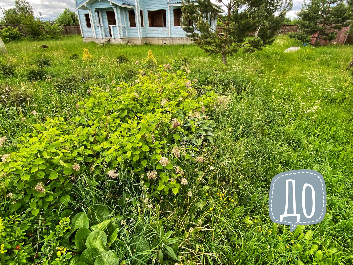 участок, дачные участки, дача, земельный участок, участок в деревне