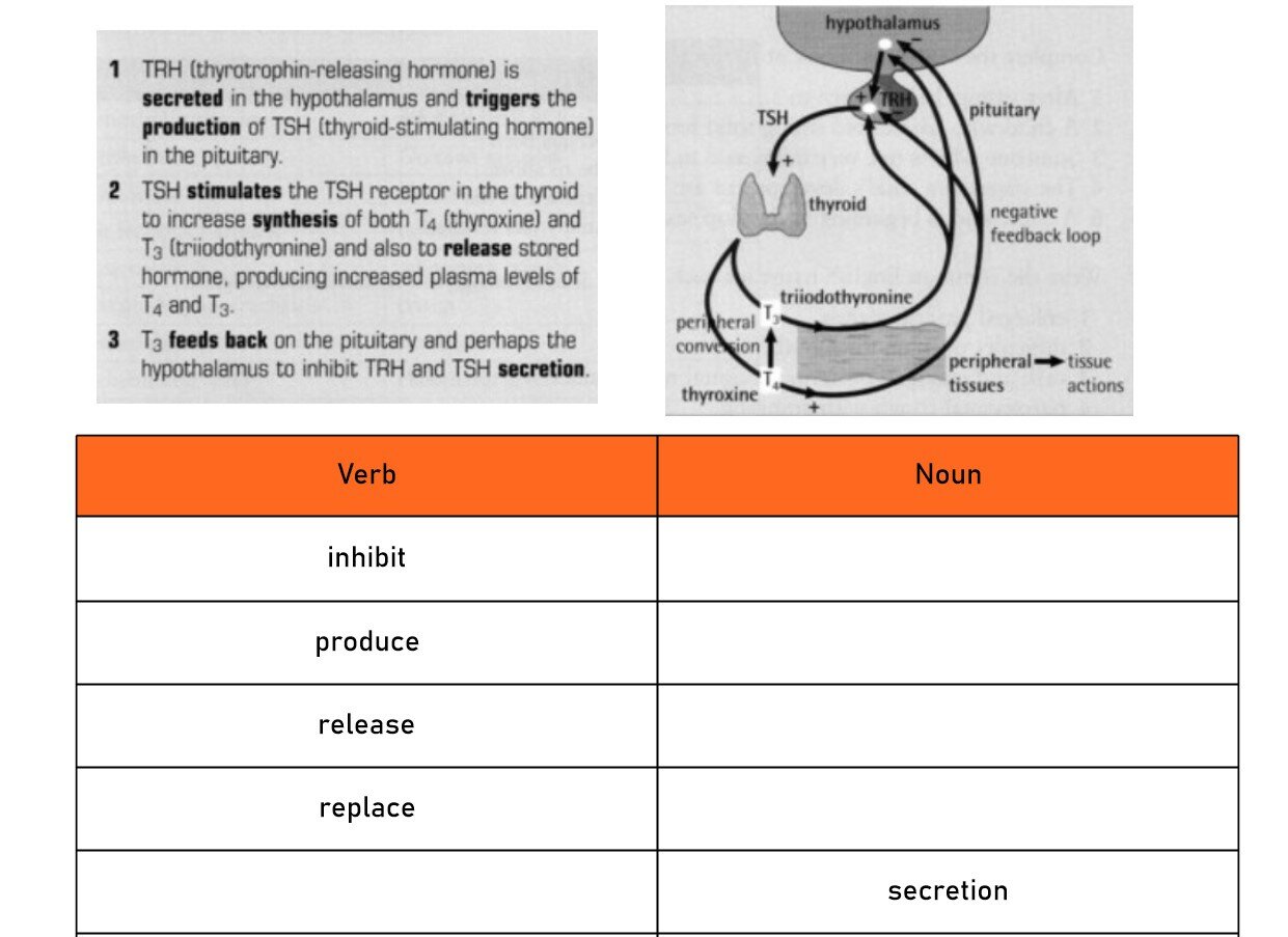 страница с текстом, conductive pathway, microsoft powerpoint, coronary artery, blood circulation