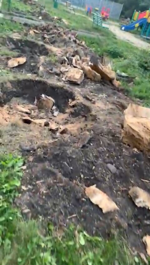 яма, лохматая ферма чемальский район, копка ям, уничтожение парка, незаконное уничтожение животных