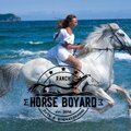 Horse Boyard