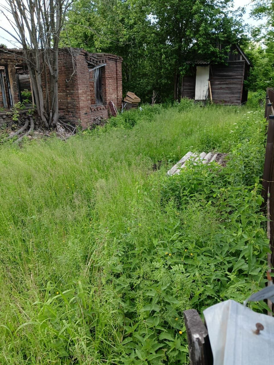 участок, участок в деревне, заброшенные деревни в орловской области, заброшенные деревни борского района нижегородской, заброшенная деревня
