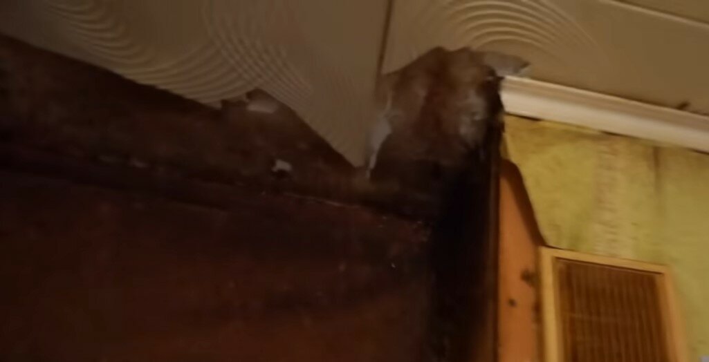 в панельном доме, рухнул потолок в квартире, мыши в доме, сломанный потолок, потолок