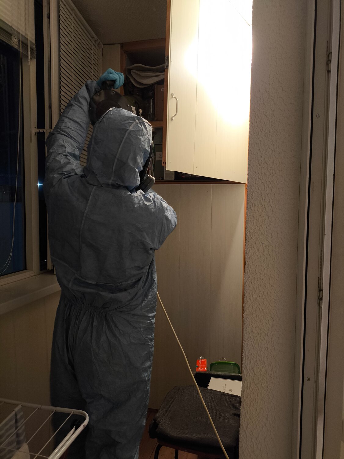 дезинфекция дезинсекция дератизация, дезинсекция, уничтожение клопов, дезинфекции, очаговая дезинфекция